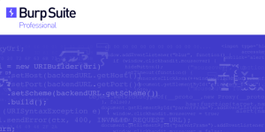 BurpSuite2024.3.1专业版中英文版下载-蚂蚁安全