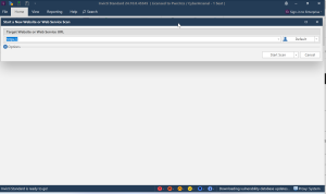 Invicti-Professional-v24.11-蚂蚁安全