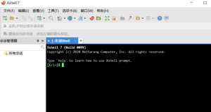 XshellPlus_v7.0.0016（中文+绿色版）-蚂蚁安全