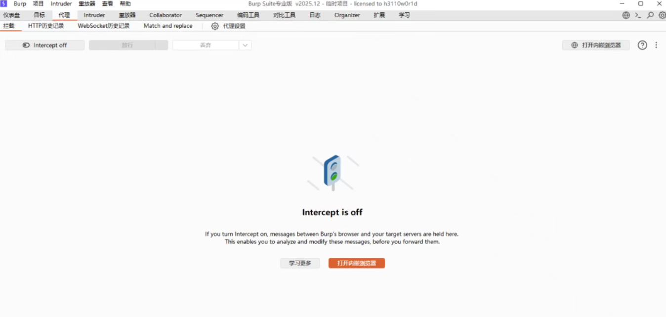 Burp Suite 2025.12 专业稳定版-蚂蚁安全