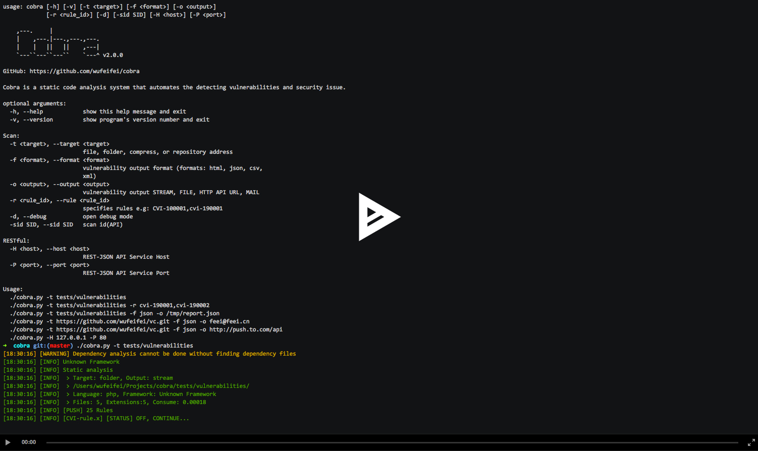 Cobra 源代码安全审计工具-蚂蚁安全