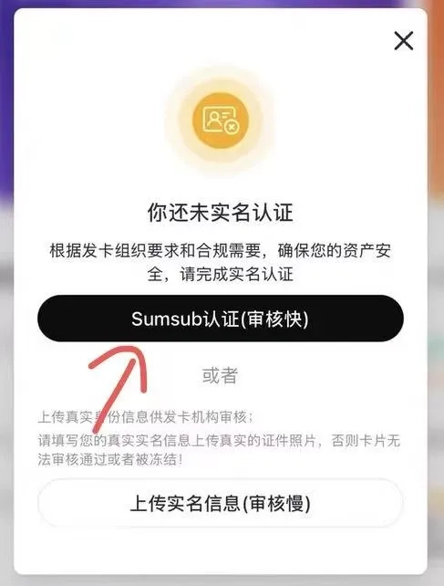 图片[2]-国外订阅卡/支付卡免费开卡教程-蚂蚁安全